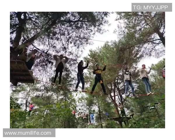 武汉攀岩队的战术创新与转换体系探索之路 武汉攀岩队的战术创新与转换体系探索之路