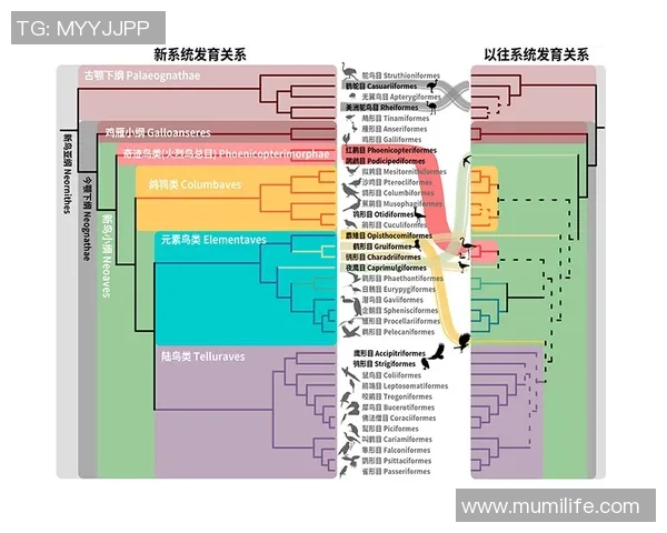 武汉极限运动队战术分析与发展策略探讨 武汉极限运动队战术分析与发展策略探讨